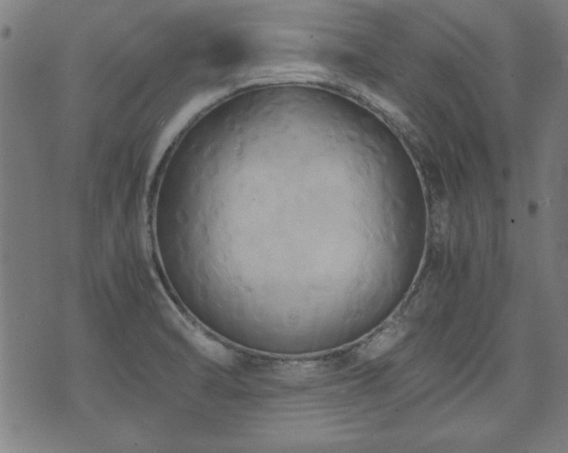X0000075891470200609151334