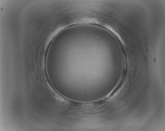 X0000075891477200609151333