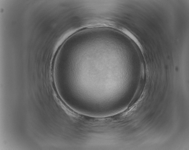 X0000075891485200609151333