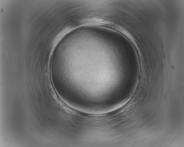 X0000075891488200609151333