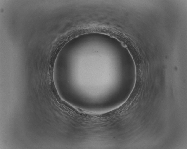 X0000075891493200609151333