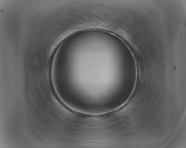 X0000075891500200609151333