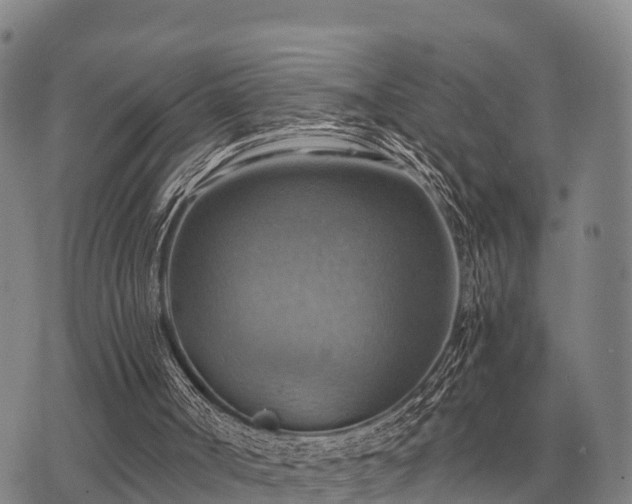 X0000075890002200609221923