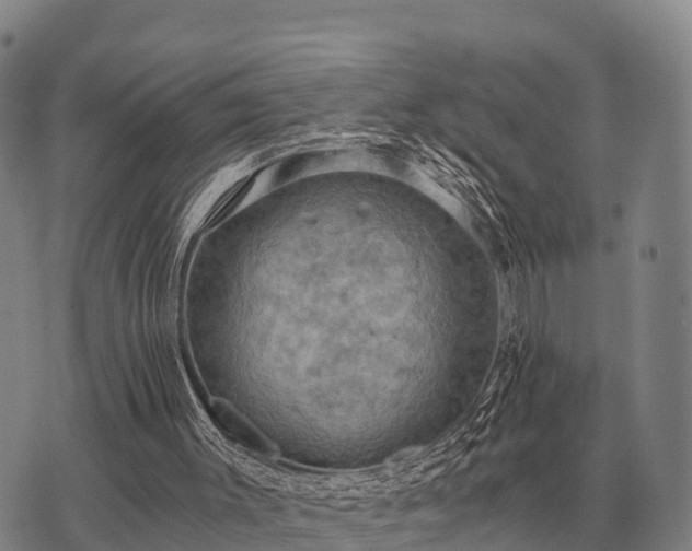 X0000075890003200609221923