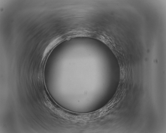 X0000075890004200609221923