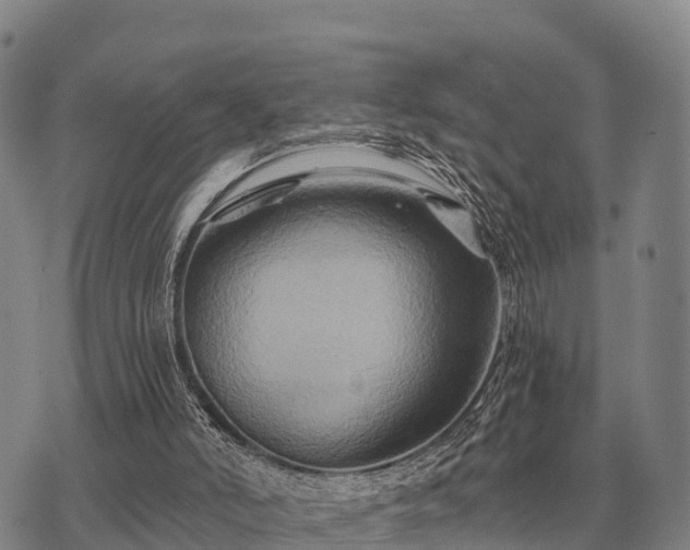 X0000075890006200609221923