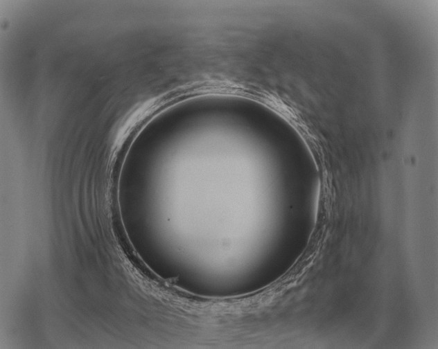 X0000075890007200609221923