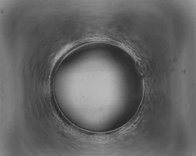 X0000075890008200609221923