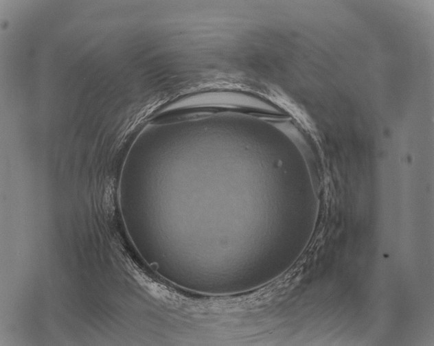 X0000075890009200609221923