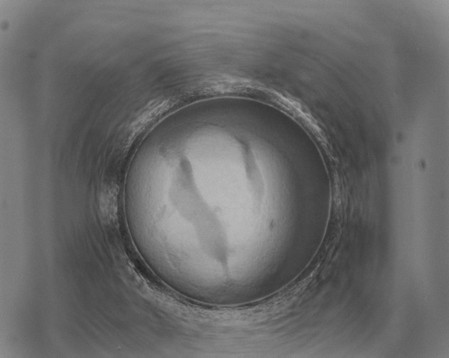 X0000075890010200609221923