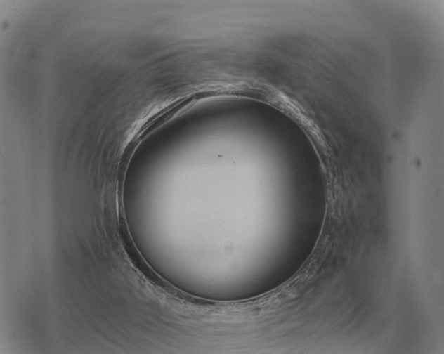 X0000075890011200609221923