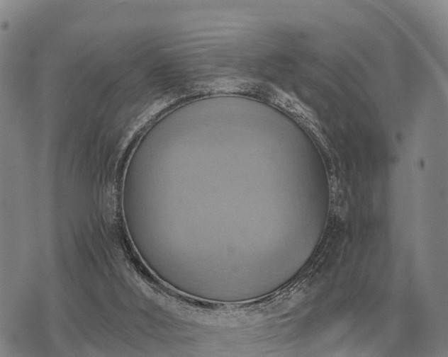 X0000075890012200609221923