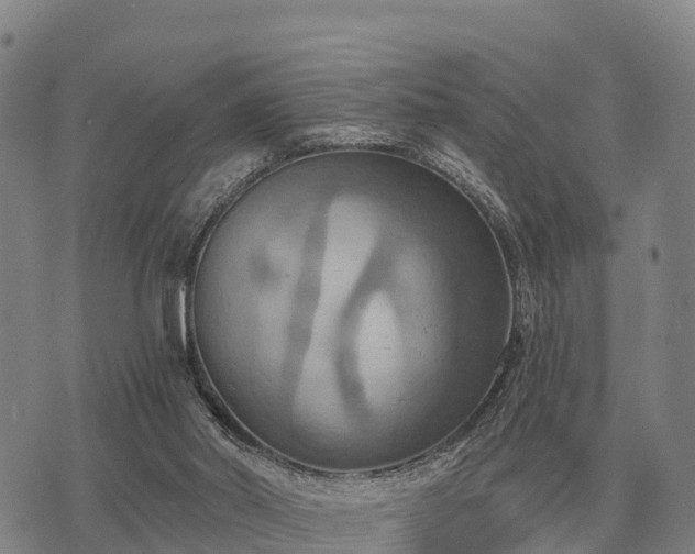 X0000075890014200609221922