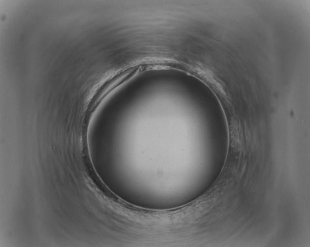 X0000075890015200609221922