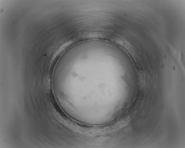 X0000075890016200609221922