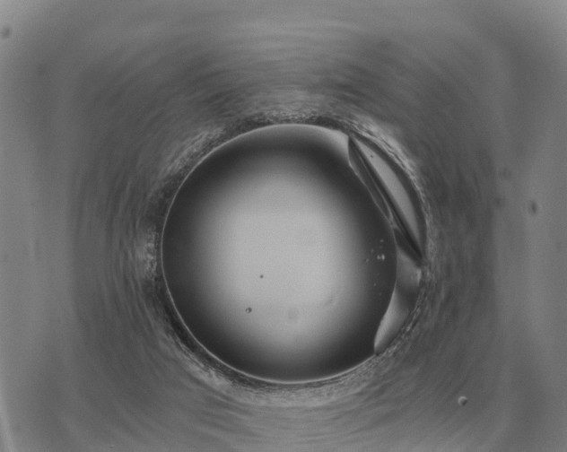 X0000075890017200609221922