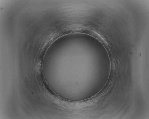 X0000075890018200609221922