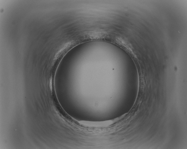 X0000075890019200609221922