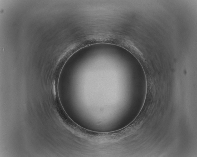 X0000075890020200609221922