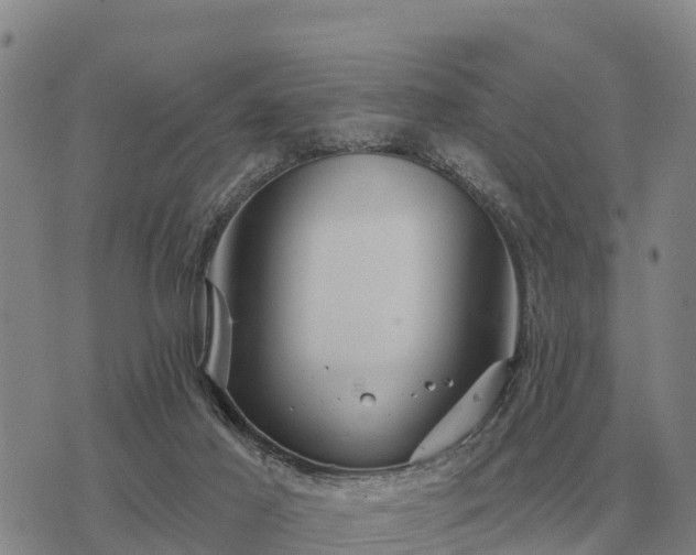 X0000075890021200609221922