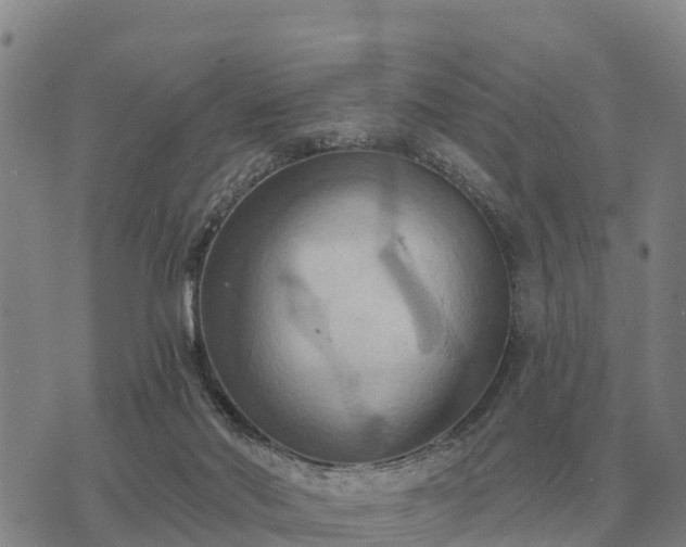 X0000075890022200609221922