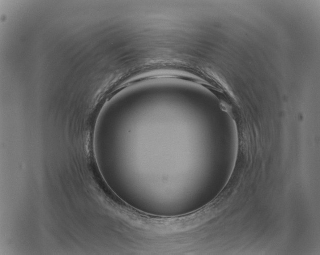 X0000075890023200609221922