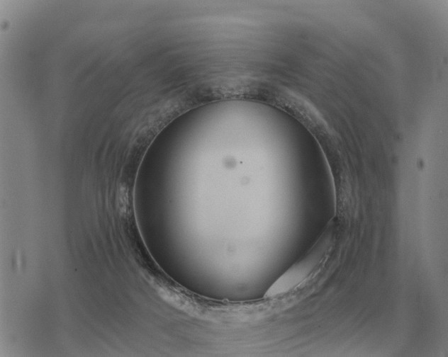 X0000075890025200609221922