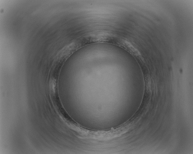 X0000075890026200609221922