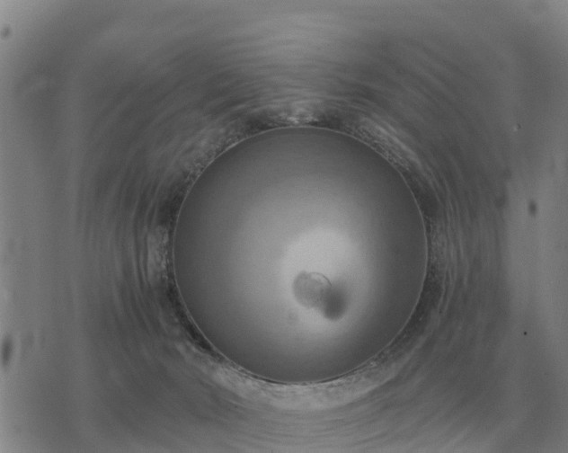 X0000075890030200609221922