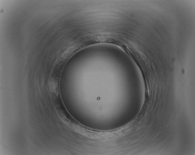 X0000075890031200609221922