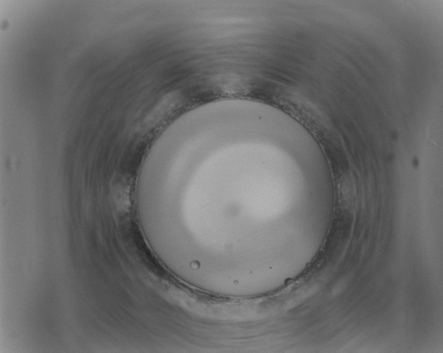 X0000075890032200609221922