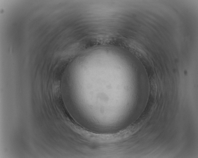 X0000075890034200609221922