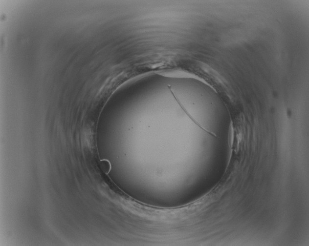 X0000075890035200609221922