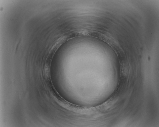 X0000075890036200609221922