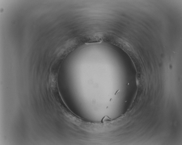 X0000075890037200609221922