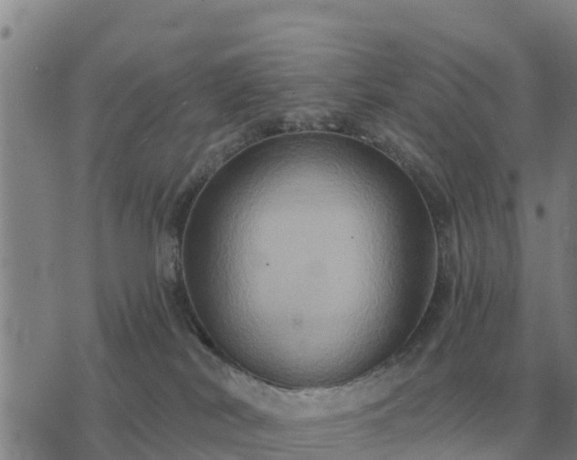 X0000075890038200609221922