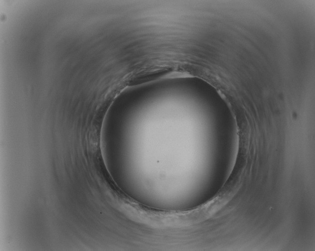 X0000075890040200609221922