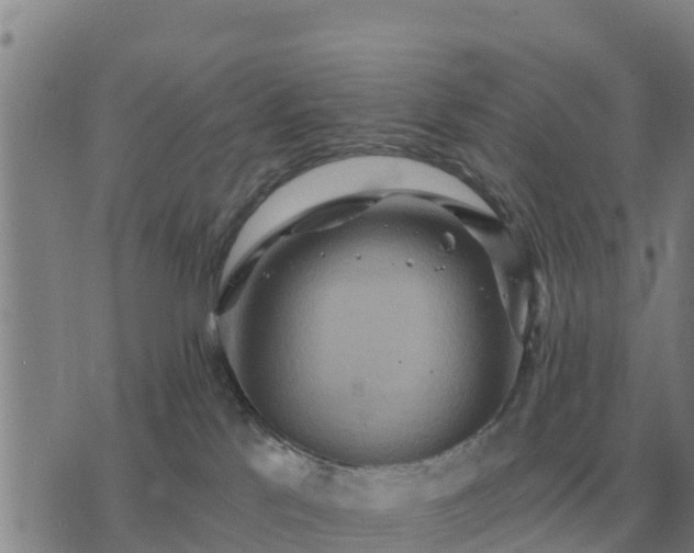 X0000075890041200609221922