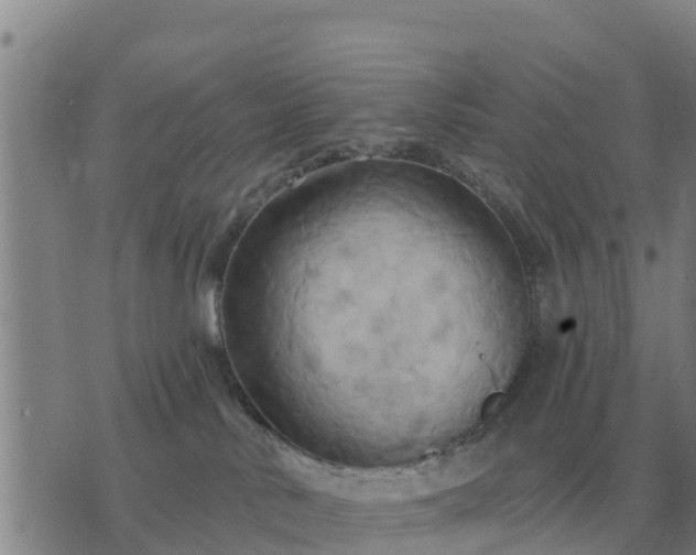 X0000075890042200609221922