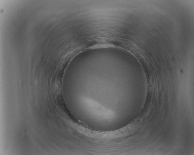 X0000075890043200609221922