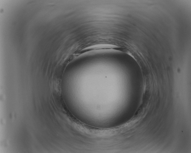 X0000075890044200609221922