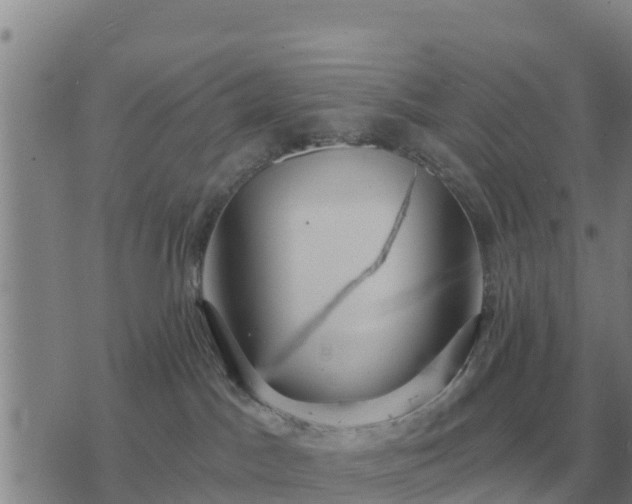 X0000075890045200609221922