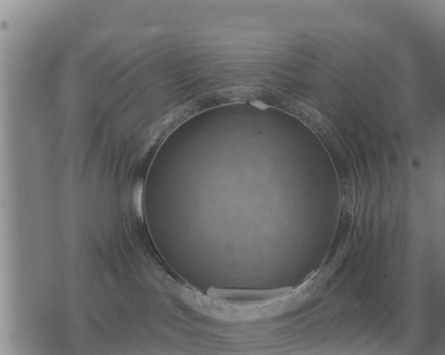 X0000075890047200609221922