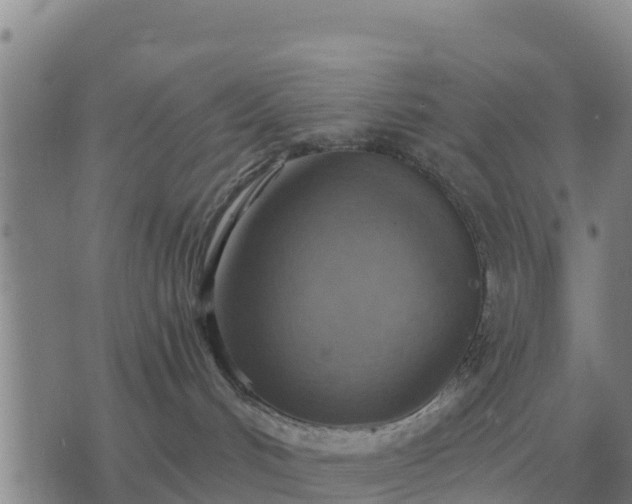 X0000075890048200609221922