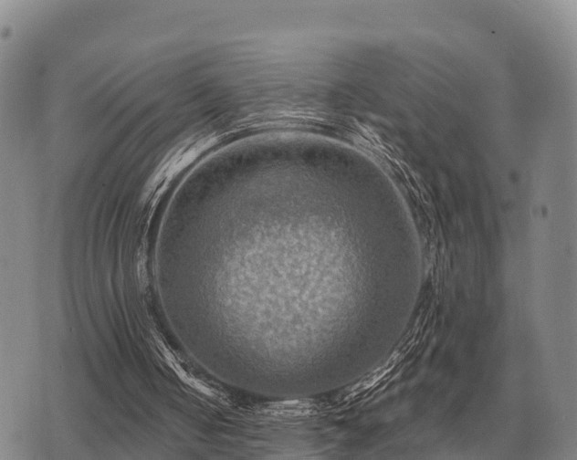 X0000075890050200609221921