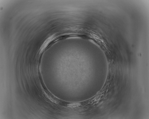 X0000075890051200609221921