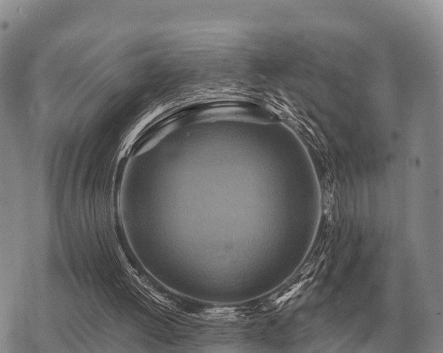 X0000075890052200609221921