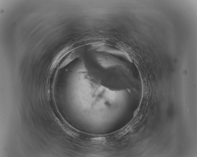 X0000075890053200609221921