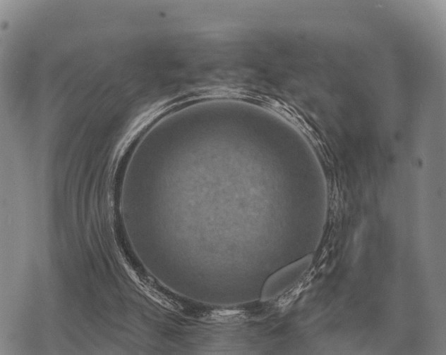 X0000075890055200609221921