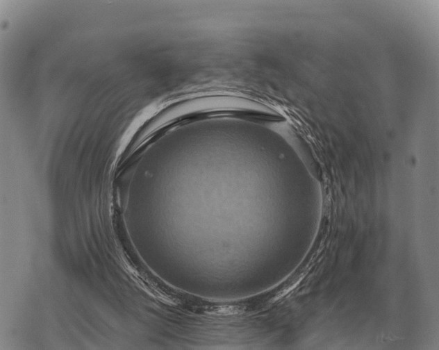 X0000075890056200609221921